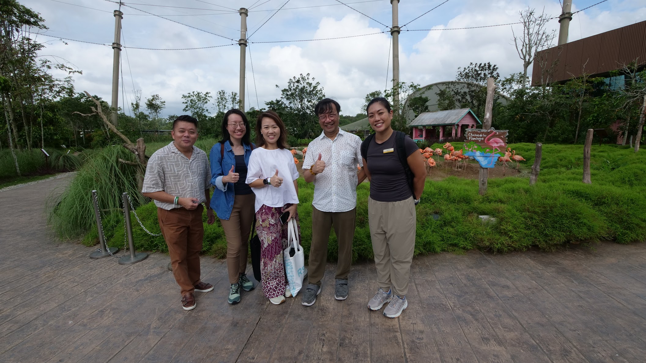 11399558