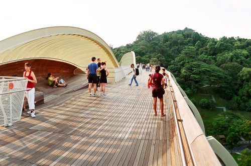 Henderson Waves-08